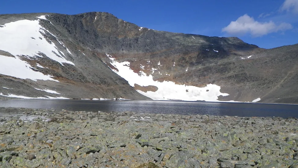 Klicka för att förstora