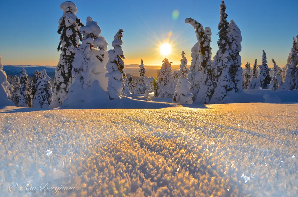 Klicka för att förstora
