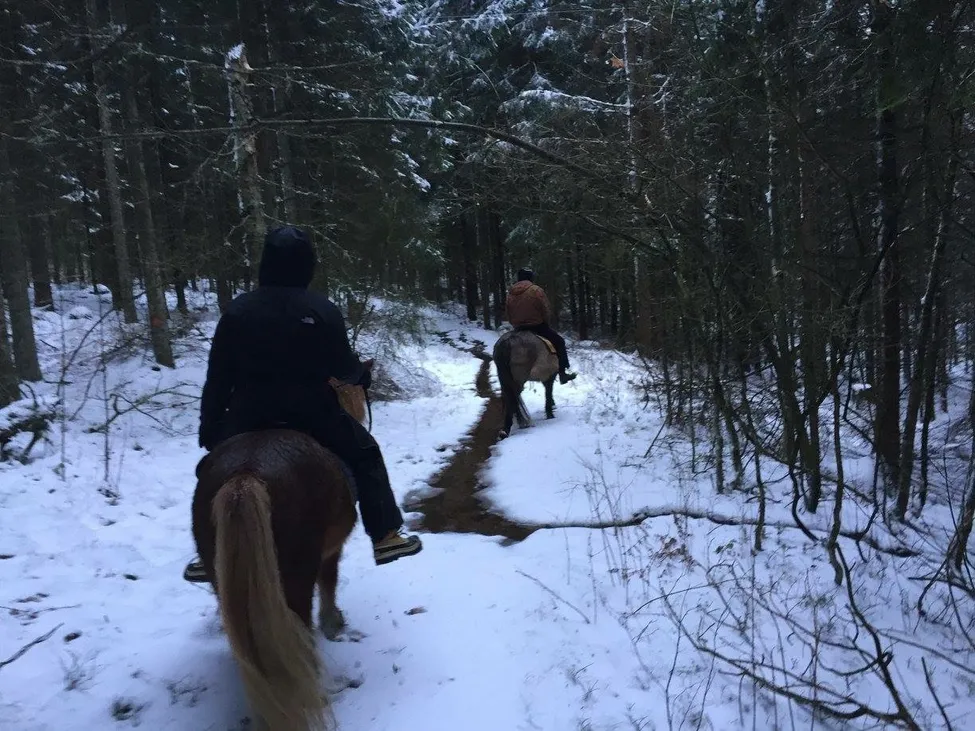 Klicka för att förstora