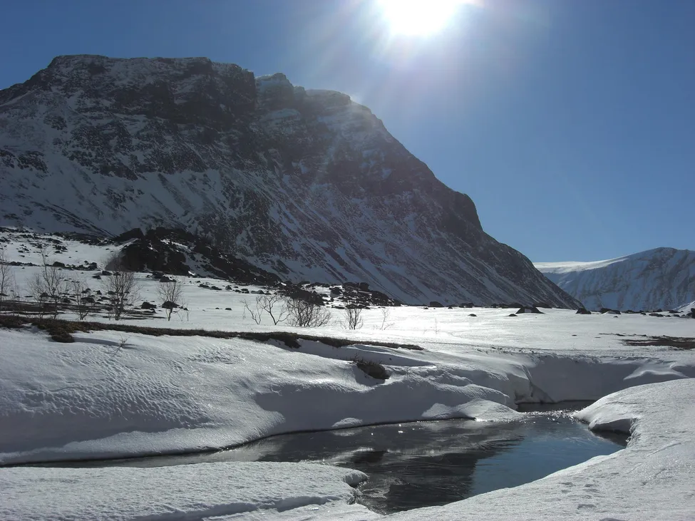 Klicka för att förstora