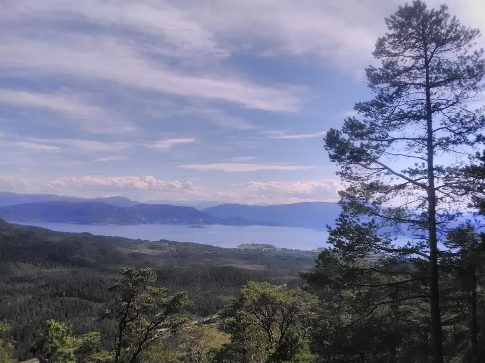 Klicka för att förstora