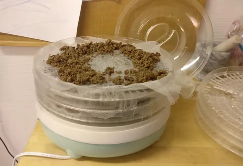 Mitt Gröna band del 2 - En arme marscherar på sin mage och så gör även jag