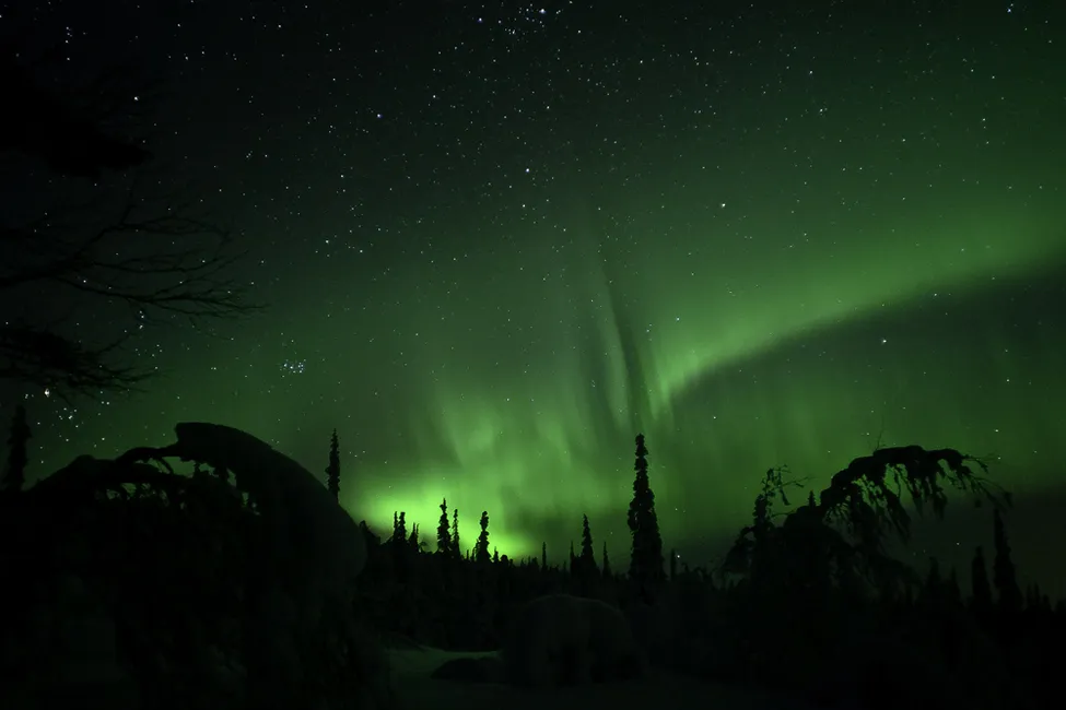 Klicka för att förstora