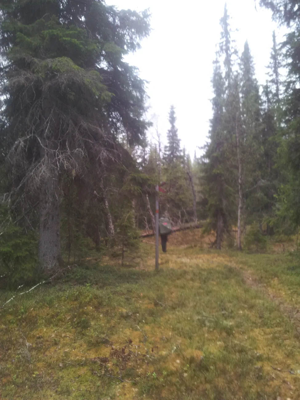 Klicka för att förstora