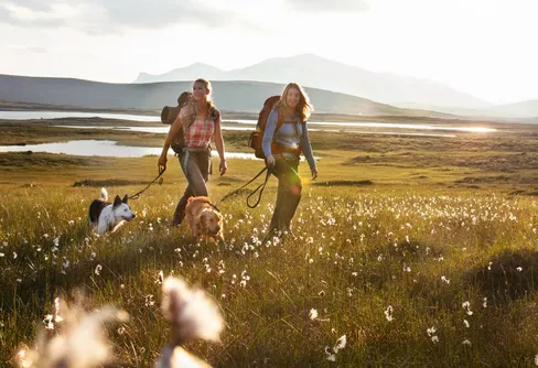 ”Vandra med hund” – ny bok vägleder till lyckade turer med fyrfota sällskap