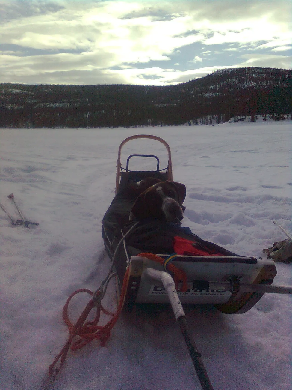 Klicka för att förstora