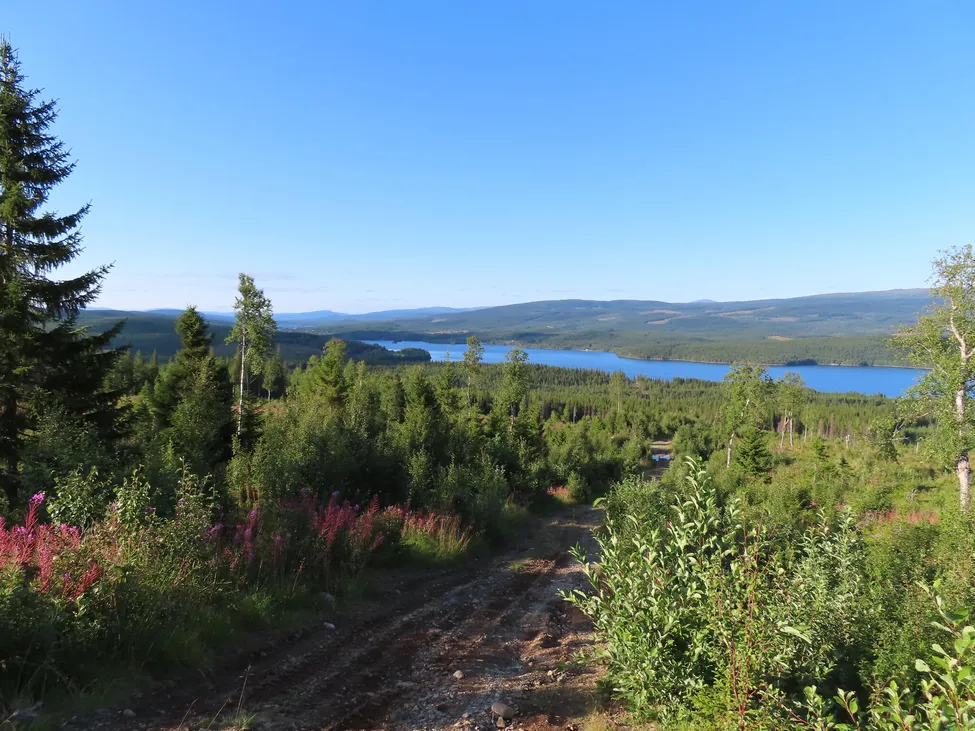 Klicka för att förstora