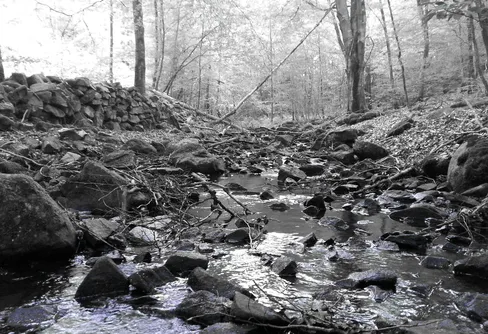 Söderåsen- folkbildningsvandring