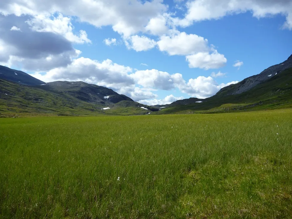 Klicka för att förstora