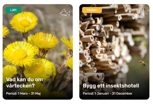 Nytt spel med naturen som spelplan