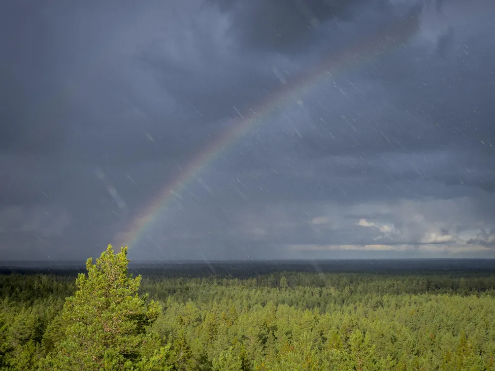 Klicka för att förstora