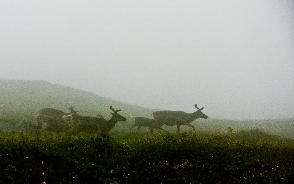Klicka för att förstora