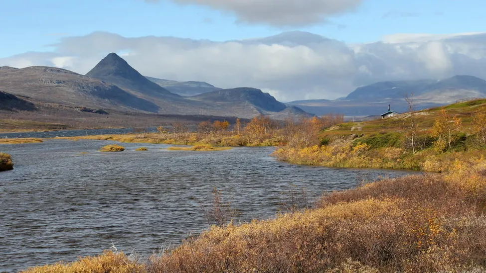 Klicka för att förstora