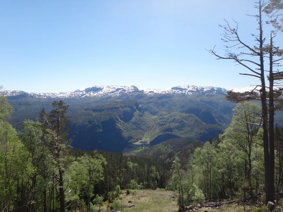 Klicka för att förstora