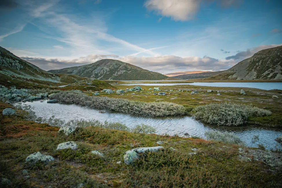 Klicka för att förstora