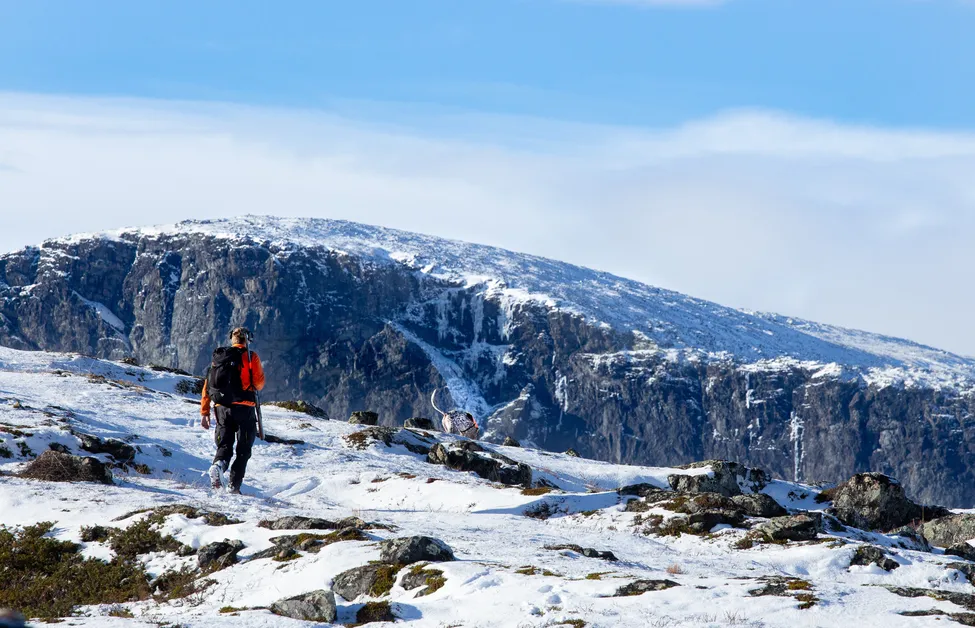 Klicka för att förstora