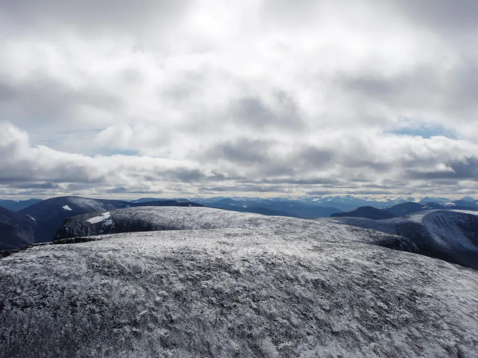 Klicka för att förstora