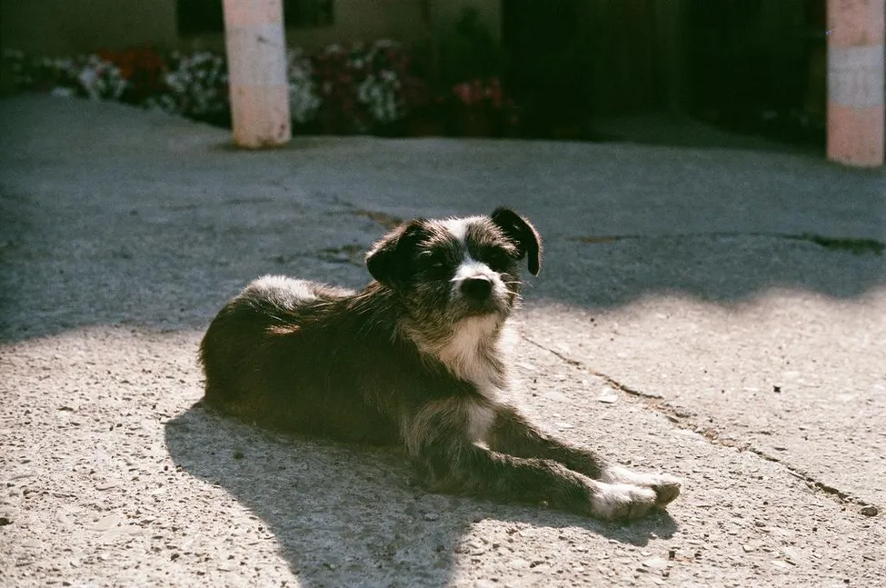 Klicka för att förstora
