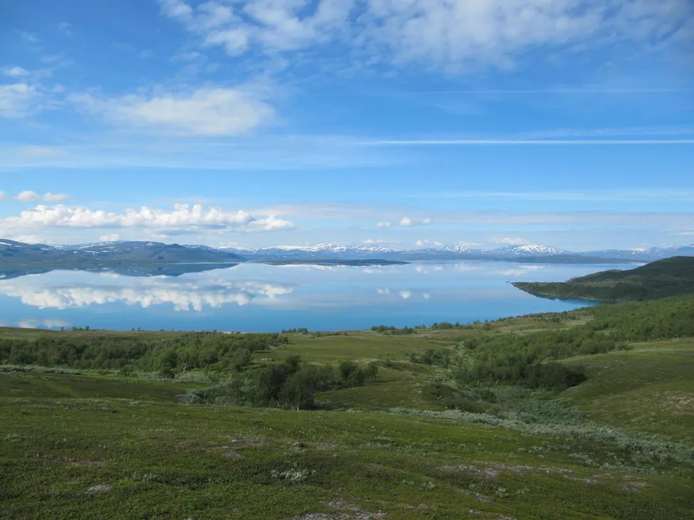Klicka för att förstora