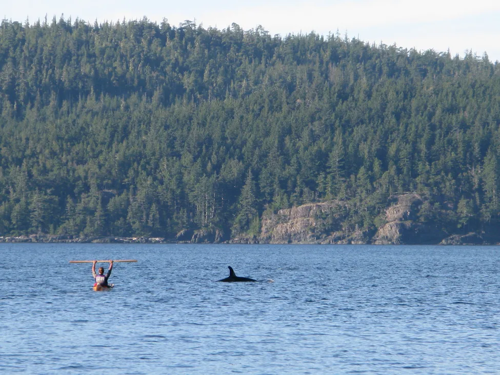 Klicka för att förstora