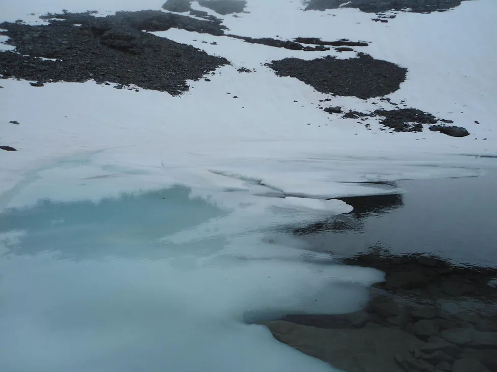 Klicka för att förstora