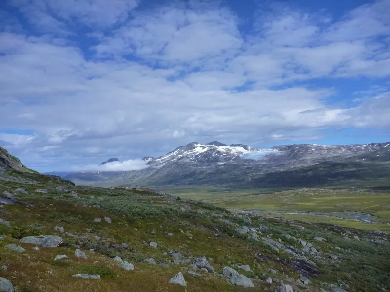 Klicka för att förstora