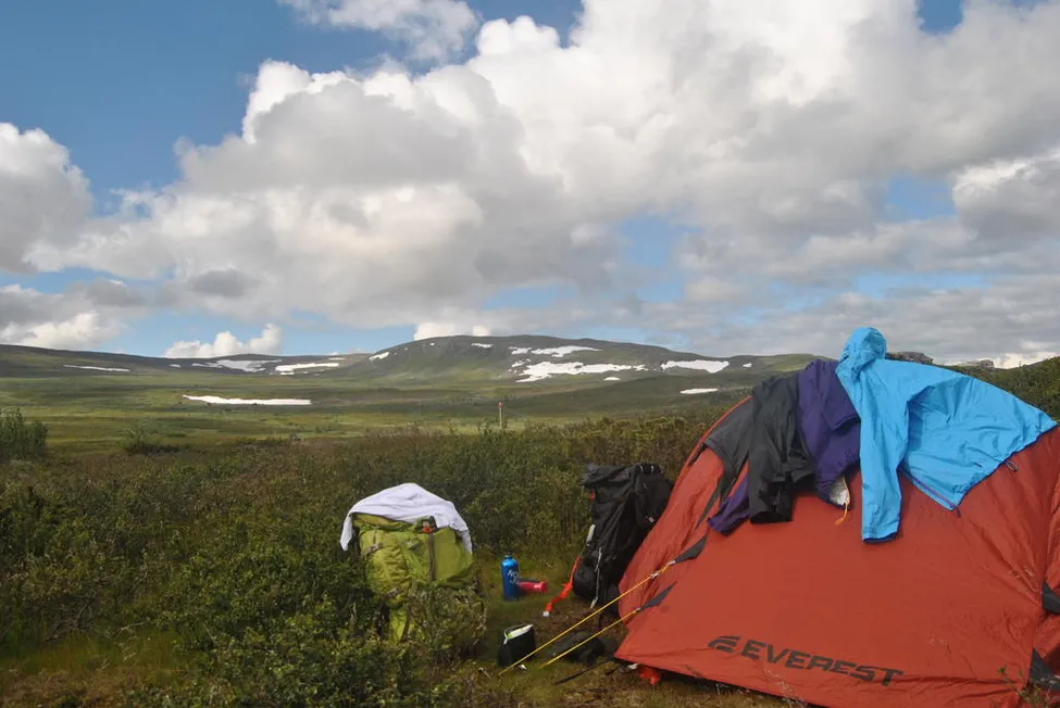 Klicka för att förstora