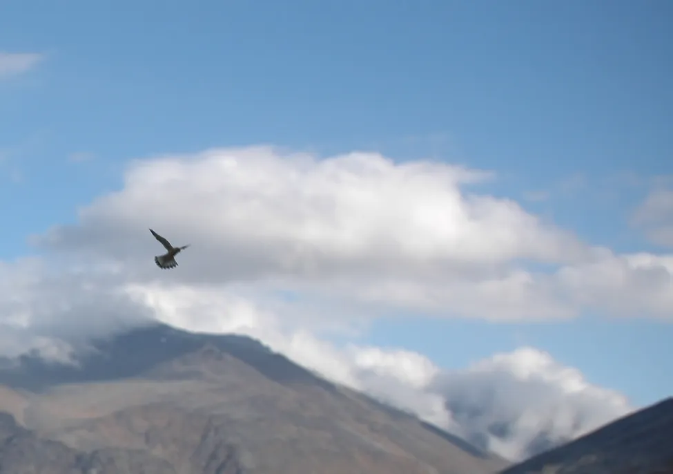 Klicka för att förstora
