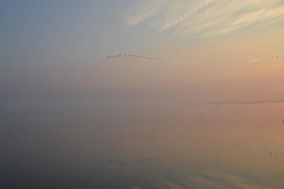 Klicka för att förstora