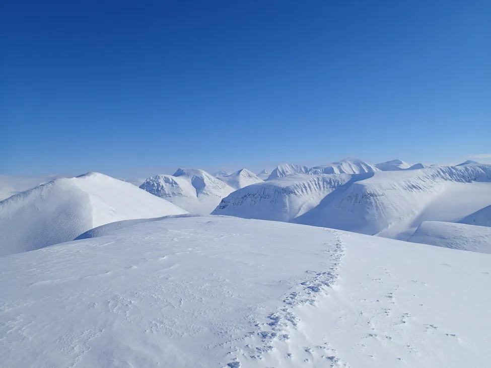 Klicka för att förstora