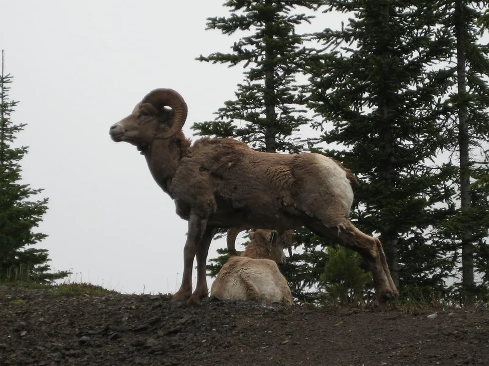 Klicka för att förstora