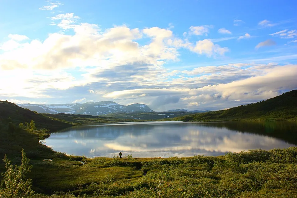 Klicka för att förstora