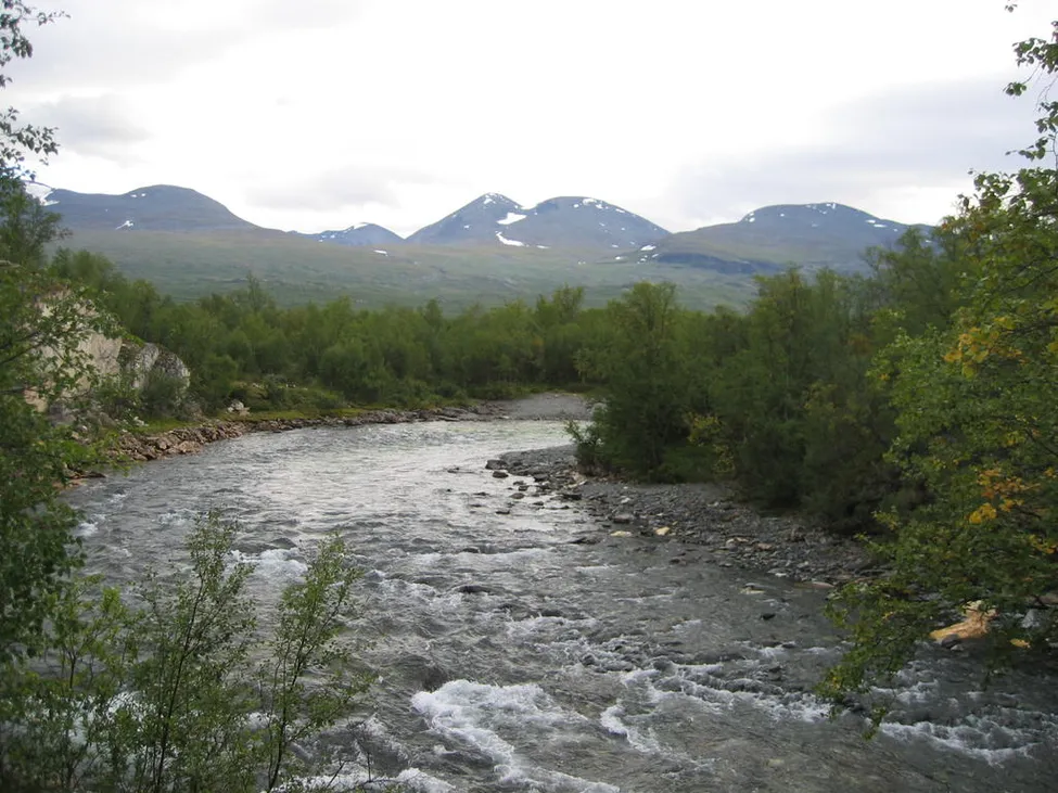 Klicka för att förstora