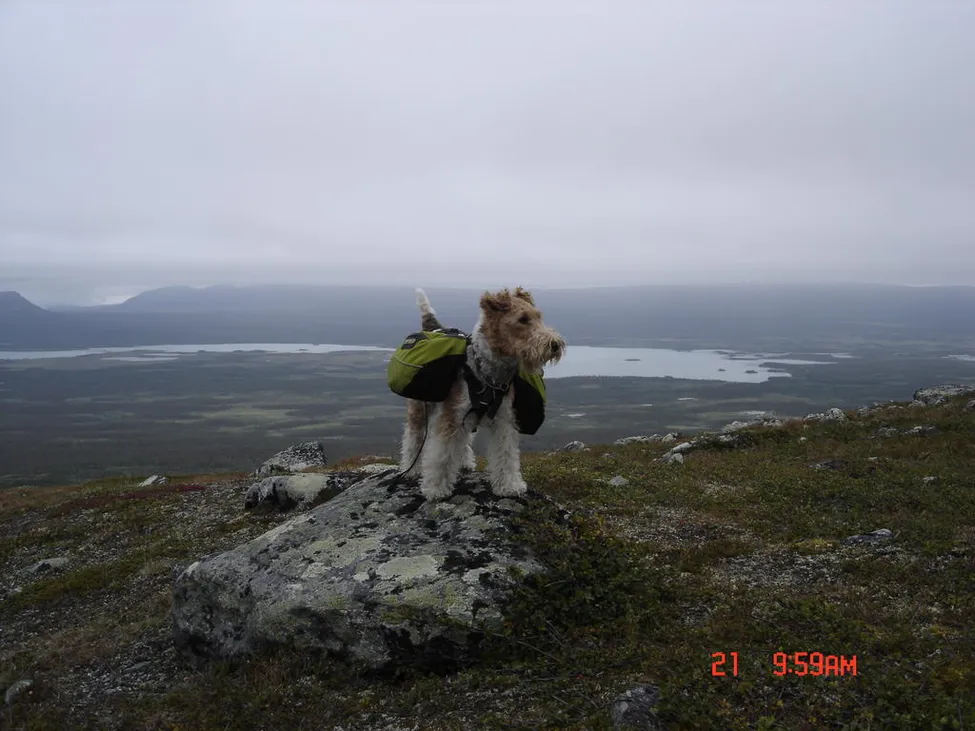 Klicka för att förstora