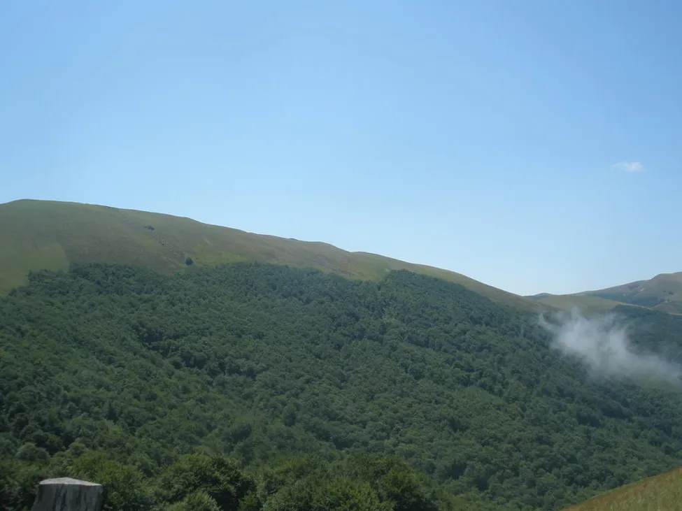 Klicka för att förstora