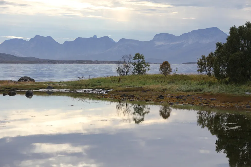 Klicka för att förstora
