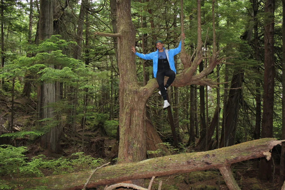 Klicka för att förstora