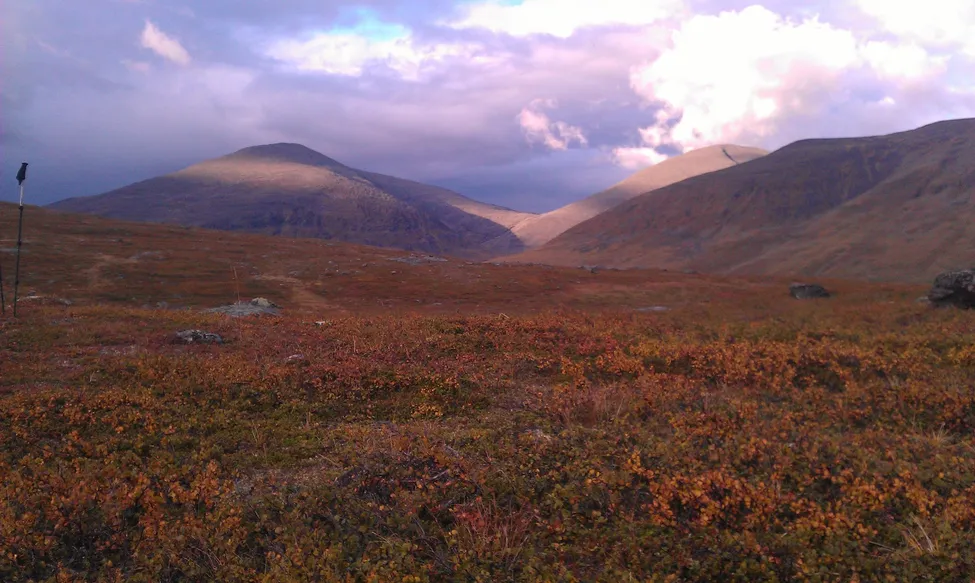 Klicka för att förstora
