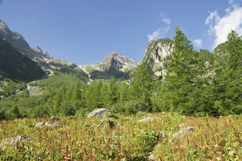 Klicka för att förstora