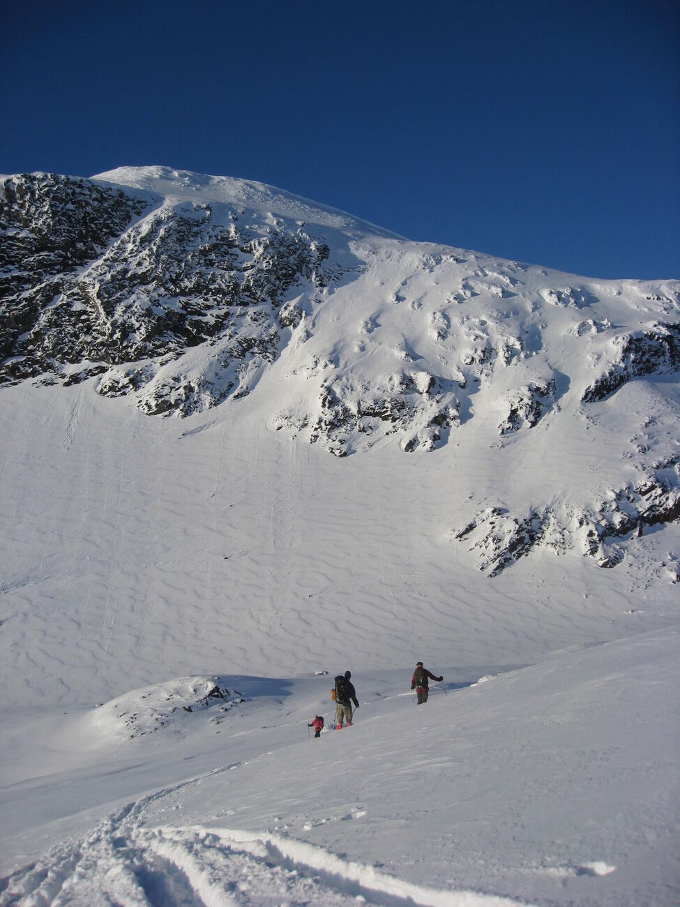Klicka för att förstora