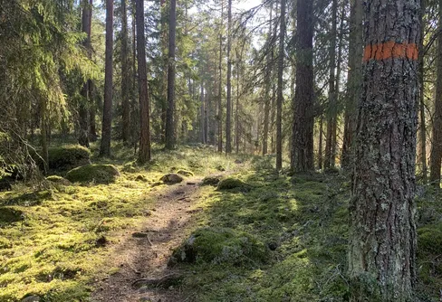 Från Västerås till Avesta: Bruksleden firas med aktiviteter