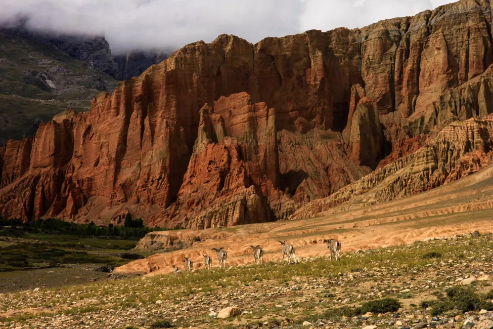 Klicka för att förstora