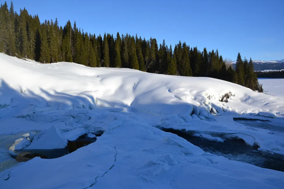 Klicka för att förstora