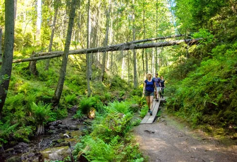 Över 250 aktiviteter på Vandringens dag