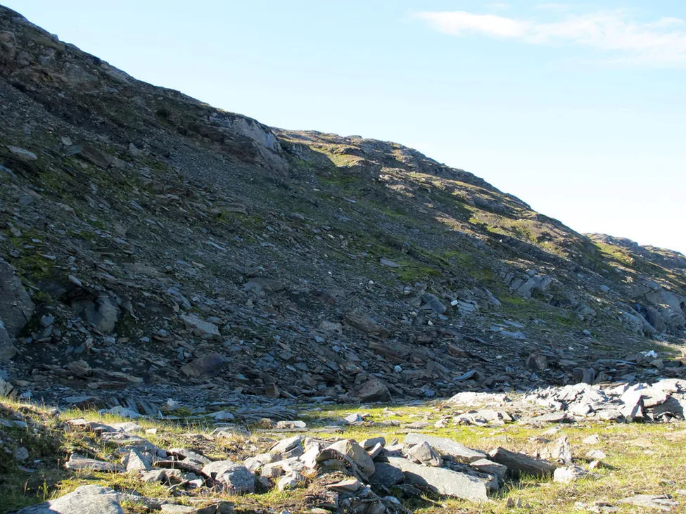 Klicka för att förstora