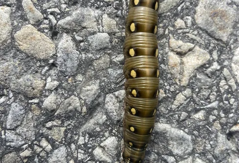 Cool larv i full fart 250904