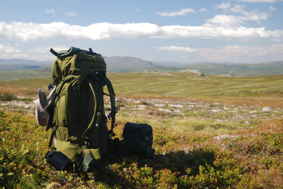 Klicka för att förstora