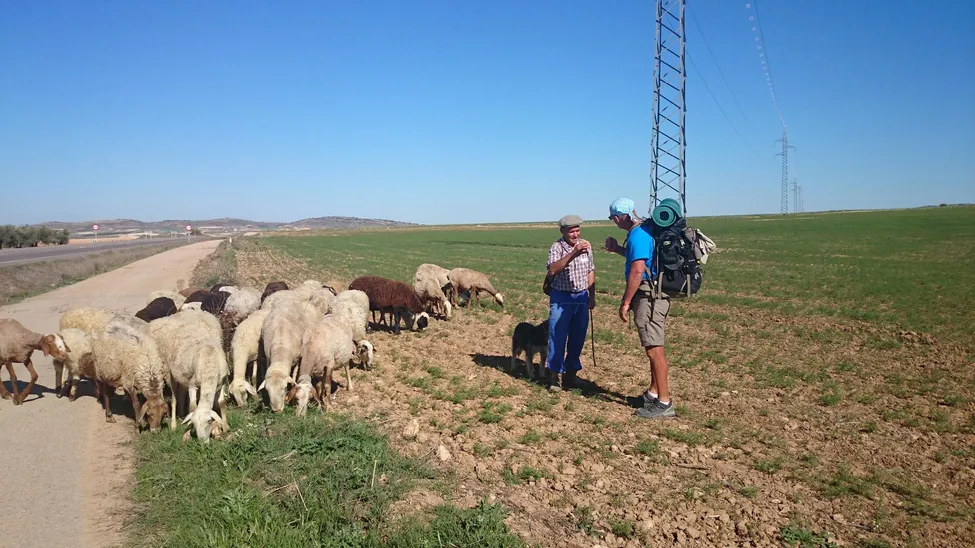 Klicka för att förstora