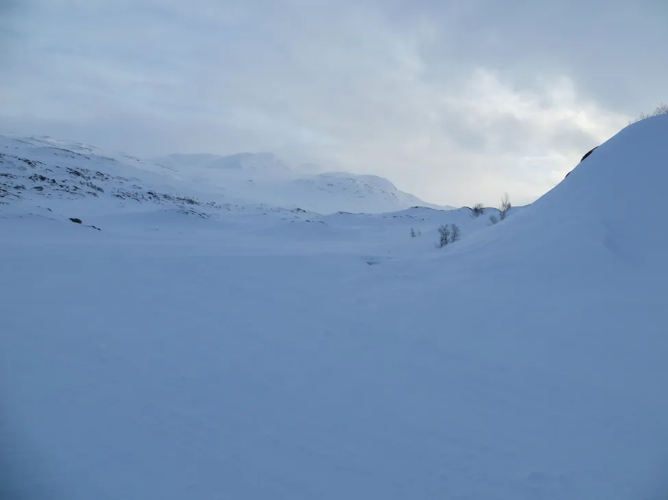 Klicka för att förstora