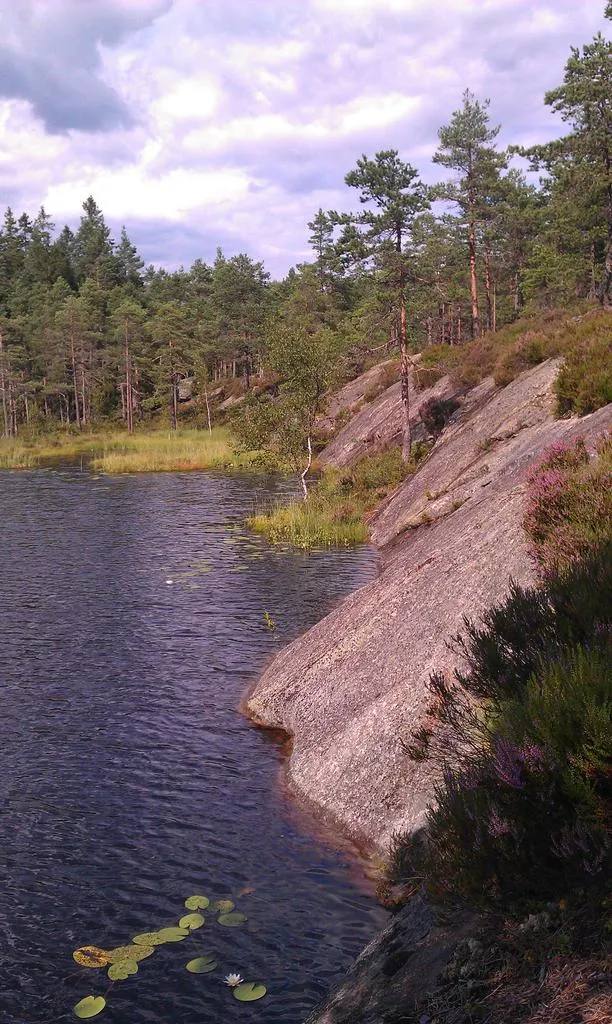 Klicka för att förstora